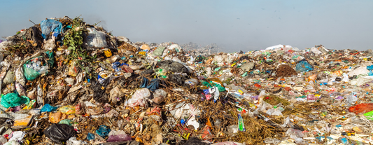 Sustainable Padel & Tennis: How Ball Pressurizers Reduce Waste and Save the Planet